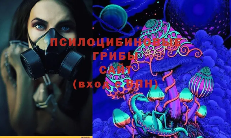 Псилоцибиновые грибы Magic Shrooms  Болхов 